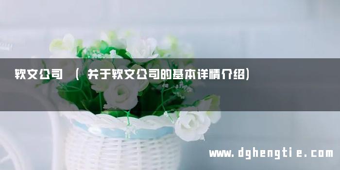 软文公司 (关于软文公司的基本详情介绍)